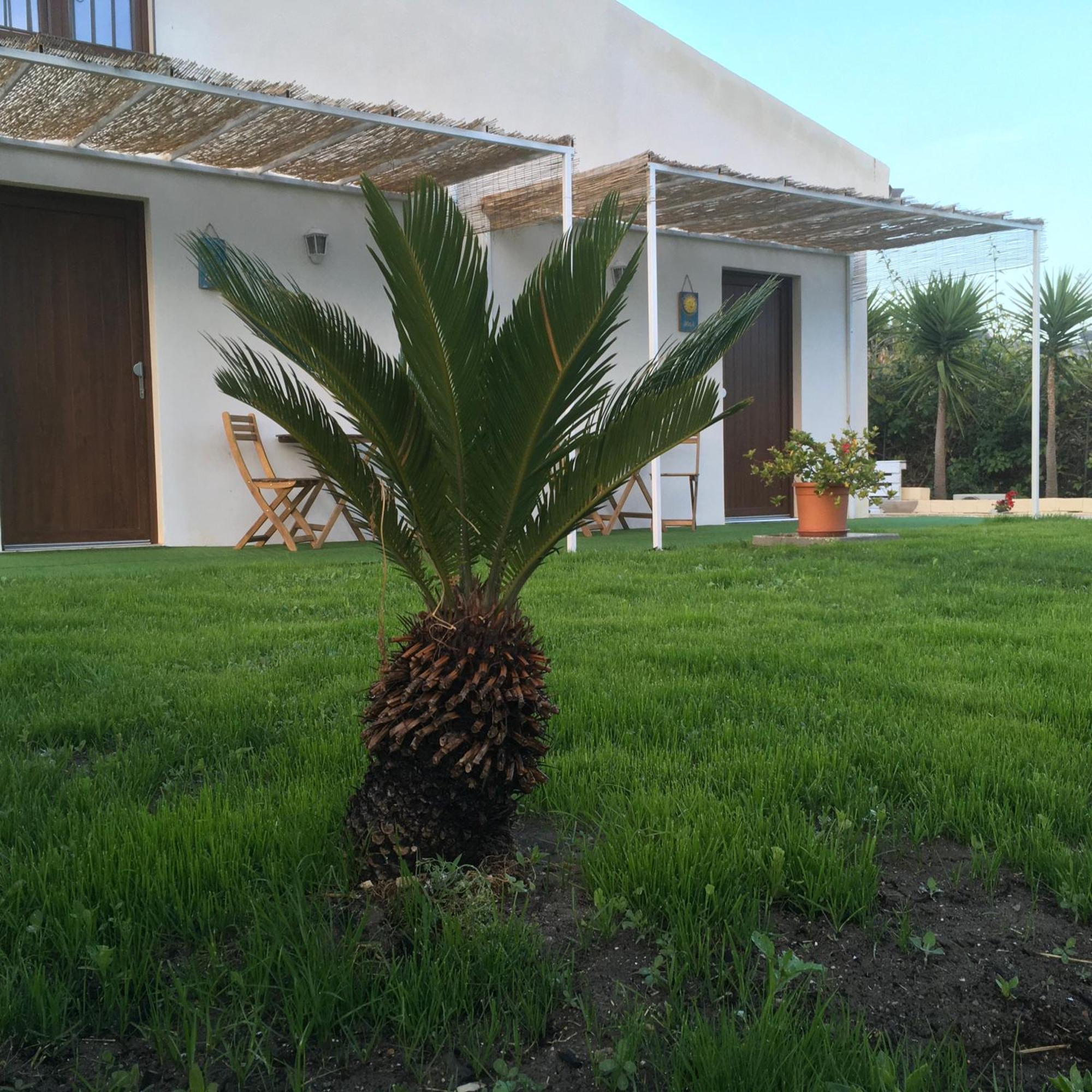 Agriturismo Adenzia Porto Empedocle Exterior photo